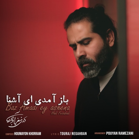 هادی فیض آبادی باز