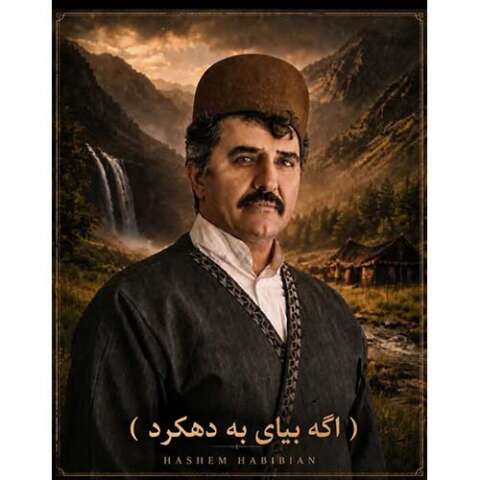 هاشم حبیبیان دهکردی اگه