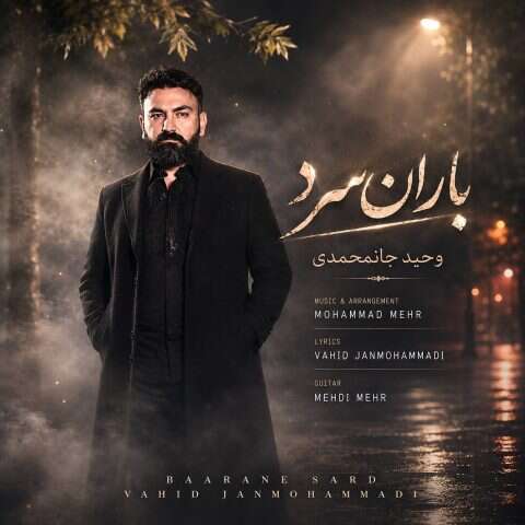 وحید جان محمدی باران سرد