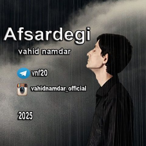 وحید نامدار افسردگی
