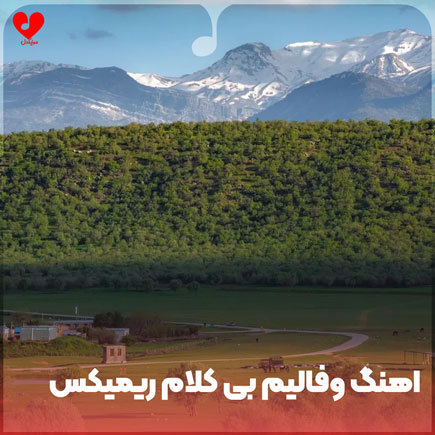 وفالیم بی کلام بیس دار
