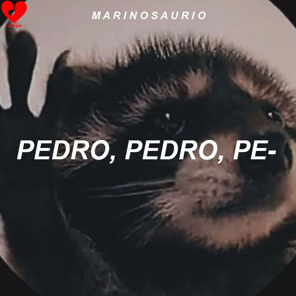 پدرو پدرو pedro pedro