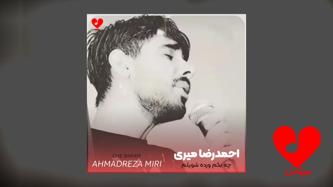 چه بکم ورده شویلم