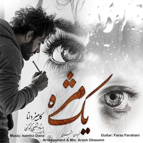 کامبیز دانا یک مژه