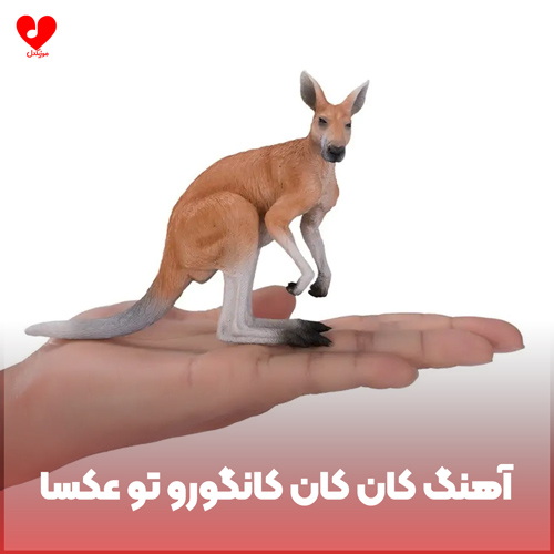 کان کان کانگورو تو