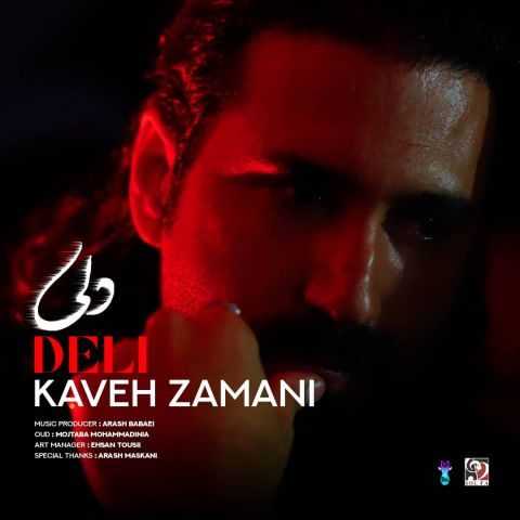 کاوه زمانی دلی