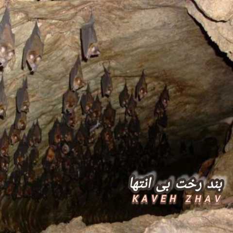کاوه ژاو بند رخت بی انتها