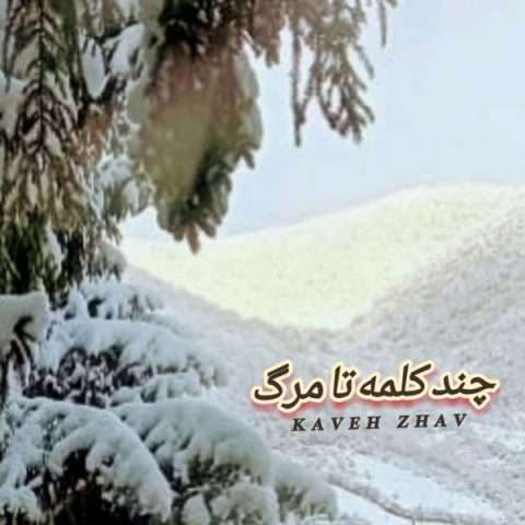 کاوه ژاو چند کلمه تا مرگ