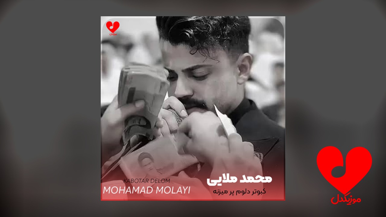 کبوتر دلوم پر میزنه