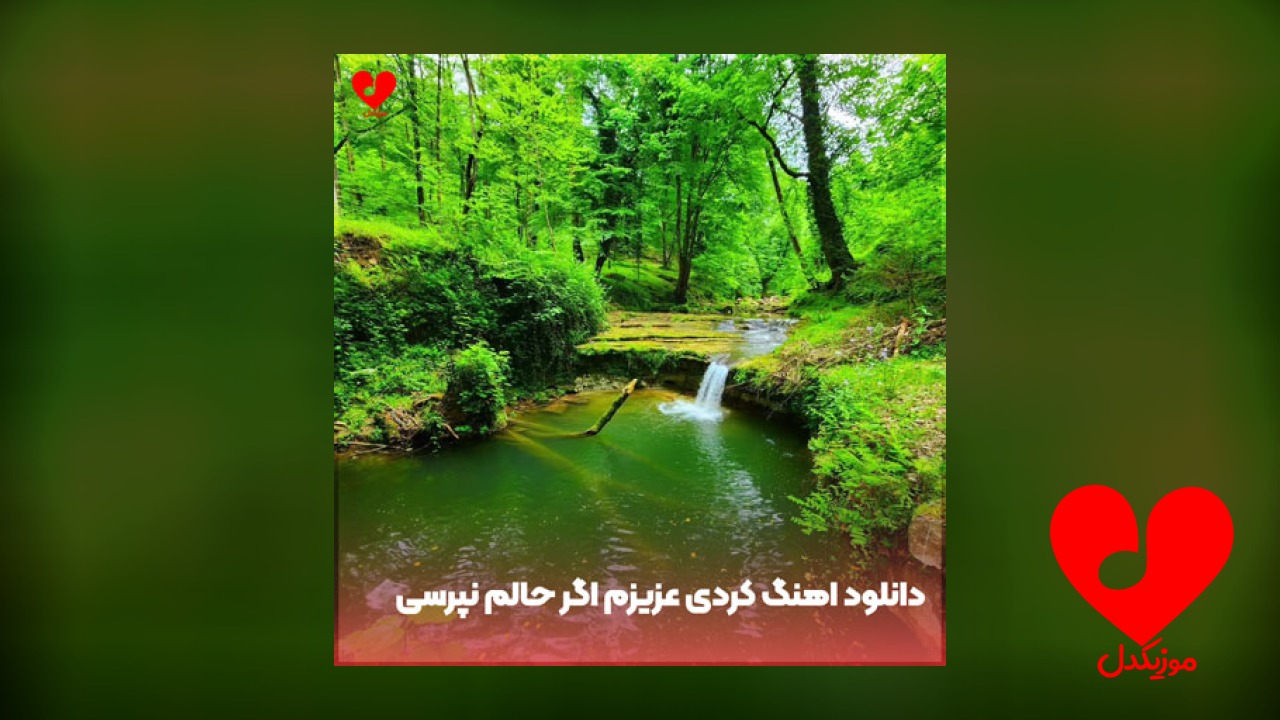 کردی عزیزم اگر ونم نپرسی