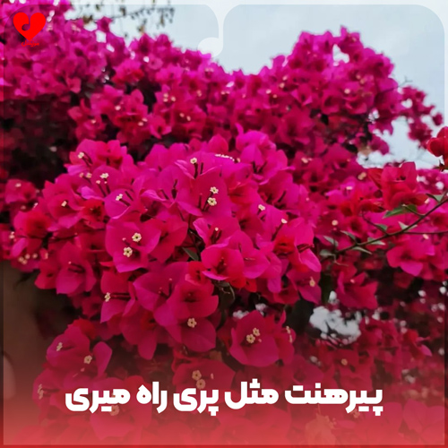 کودکانه پیرهنت مثل پری