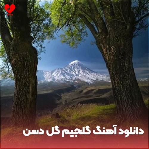 گلجیم گلجیم گل دسن