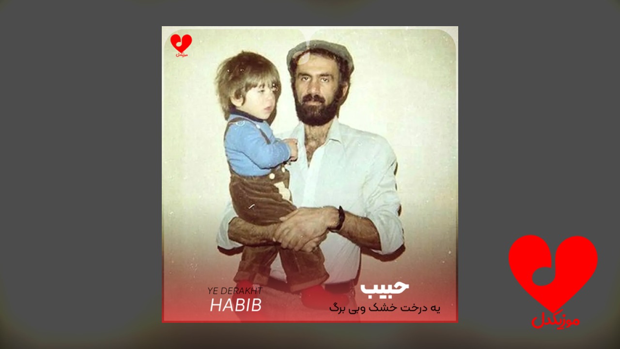 یه درخت خشک وبی