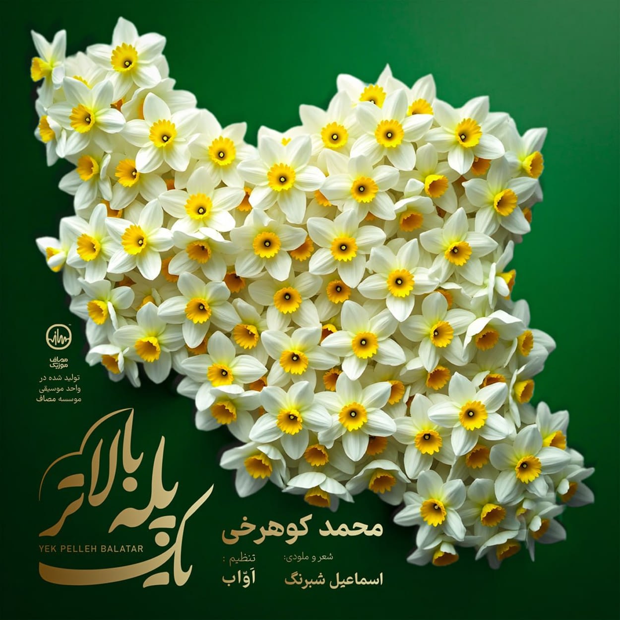 یک پله بالاتر محمد کوهرخی