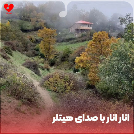 انار انار