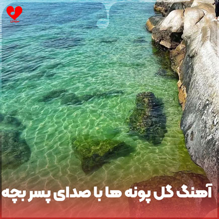 گل پونه ها