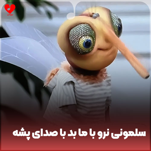 سلمونی نرو با ما