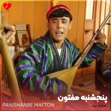 سایه بید