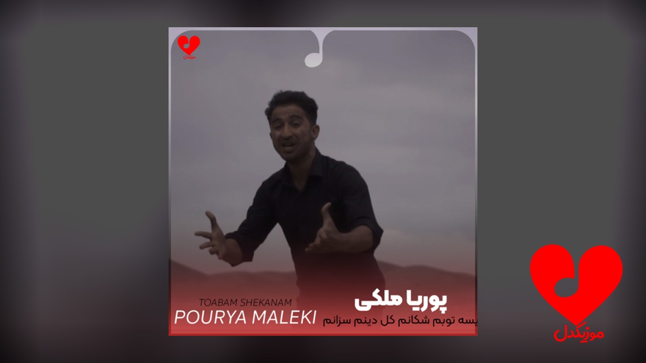 یسه توبم شکانم کل دینم سزانم