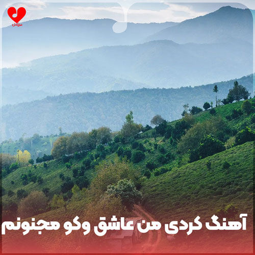 کردی من عاشق وکو