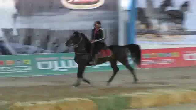 جنگی