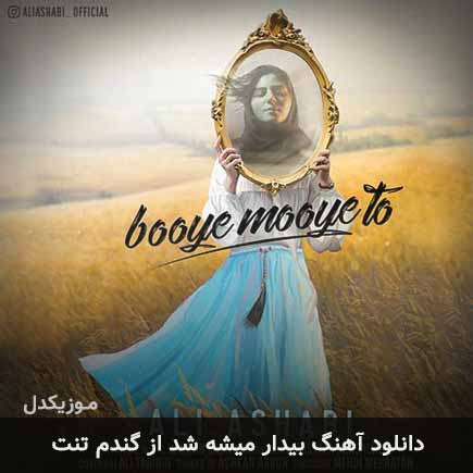 اهنگ بیدار میشه شد