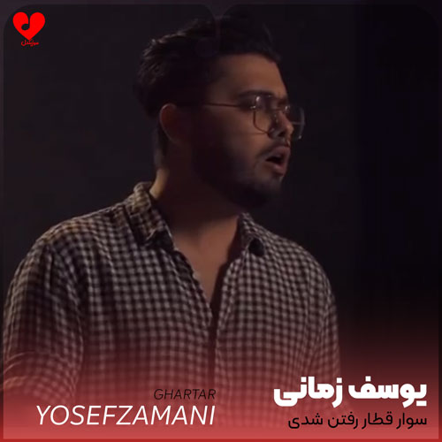 سوار قطار رفتن شدی